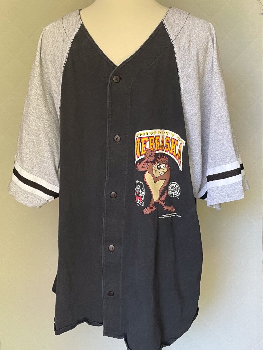 Vintage 1990s University of Nebraska Jersey- Looney Toons Taz